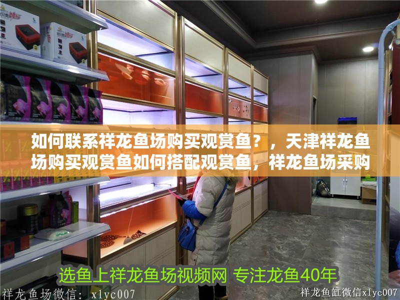如何聯系祥龍魚場購買觀賞魚？，天津祥龍魚場購買觀賞魚如何搭配觀賞魚，祥龍魚場采購清單