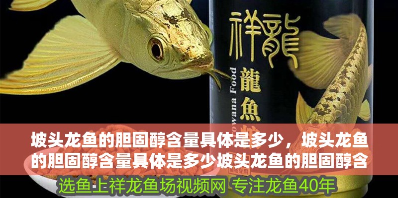 坡頭龍魚的膽固醇含量具體是多少，坡頭龍魚的膽固醇含量具體是多少坡頭龍魚的膽固醇含量是多少