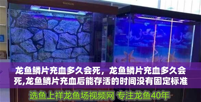 龍魚鱗片充血多久會(huì)死，龍魚鱗片充血多久會(huì)死,龍魚鱗片充血后能存活的時(shí)間沒(méi)有固定標(biāo)準(zhǔn)