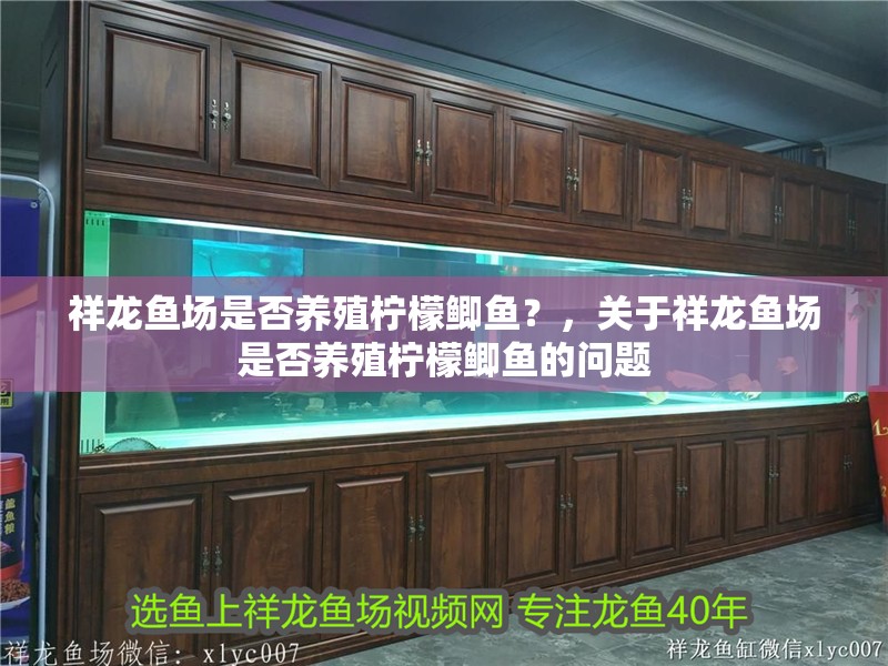 祥龍魚場是否養殖檸檬鯽魚？，關于祥龍魚場是否養殖檸檬鯽魚的問題