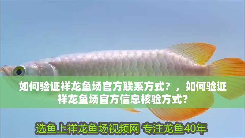 如何驗證祥龍魚場官方聯系方式？，如何驗證祥龍魚場官方信息核驗方式？
