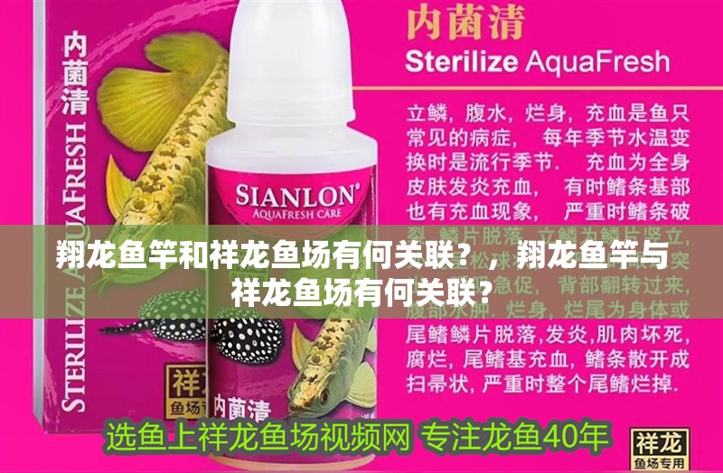 翔龍魚竿和祥龍魚場有何關(guān)聯(lián)？，翔龍魚竿與祥龍魚場有何關(guān)聯(lián)？