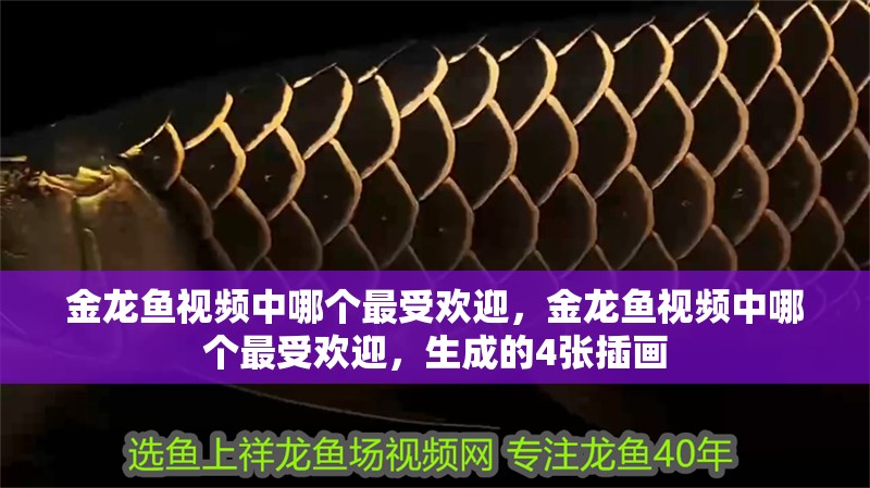 金龍魚視頻中哪個最受歡迎，金龍魚視頻中哪個最受歡迎，生成的4張插畫