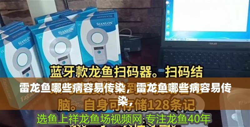 雷龍魚哪些病容易傳染，雷龍魚哪些病容易傳染，