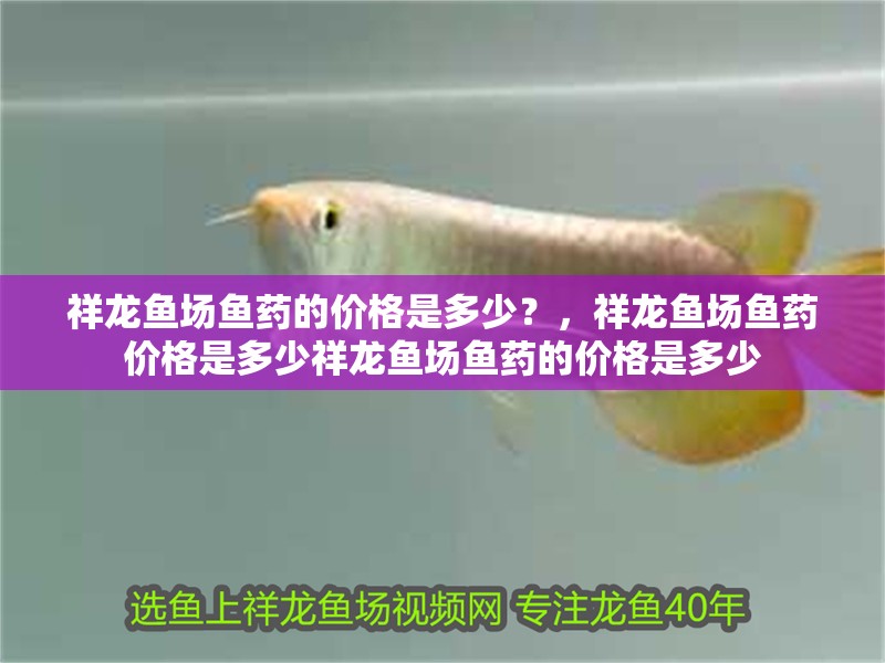 祥龍魚場魚藥的價格是多少？，祥龍魚場魚藥價格是多少祥龍魚場魚藥的價格是多少