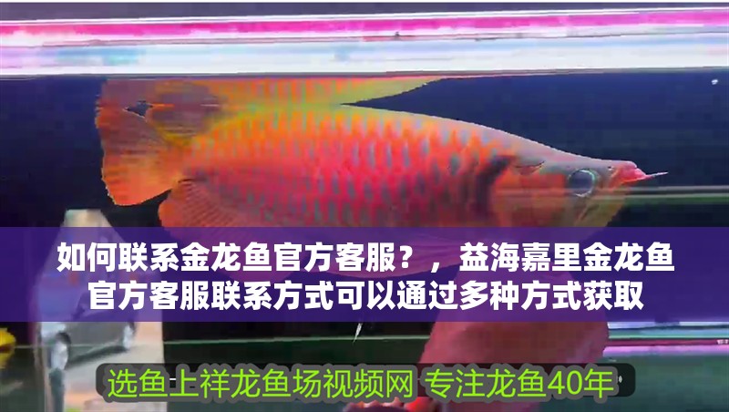 如何聯系金龍魚官方客服？，益海嘉里金龍魚官方客服聯系方式可以通過多種方式獲取