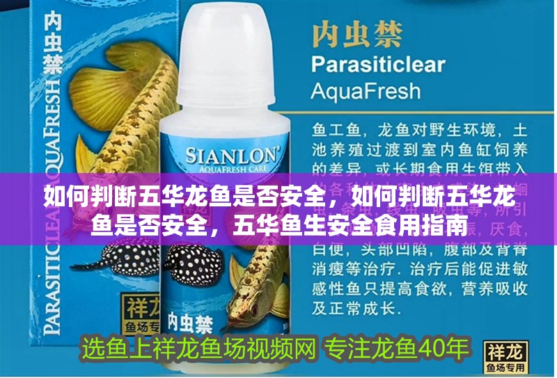 如何判斷五華龍魚是否安全，如何判斷五華龍魚是否安全，五華魚生安全食用指南