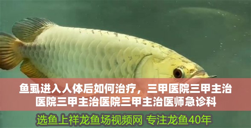 魚虱進入人體后如何治療，三甲醫院三甲主治醫院三甲主治醫院三甲主治醫師急診科