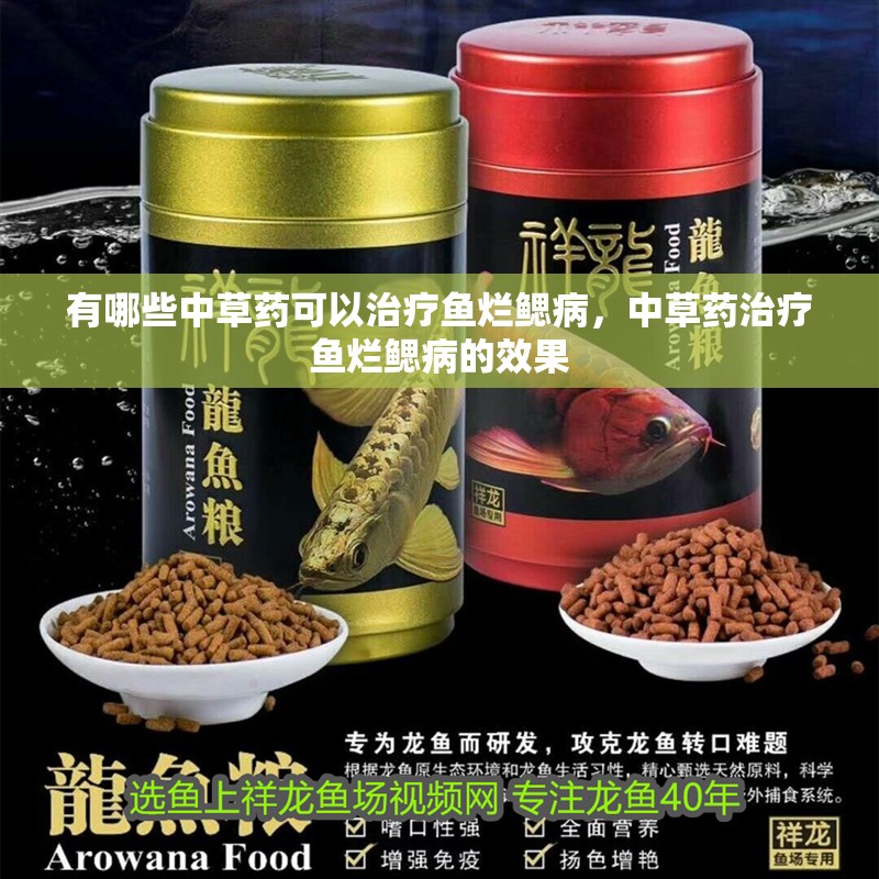 有哪些中草藥可以治療魚爛鰓病，中草藥治療魚爛鰓病的效果