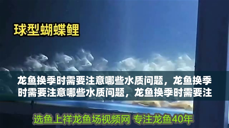 龍魚換季時需要注意哪些水質(zhì)問題，龍魚換季時需要注意哪些水質(zhì)問題，龍魚換季時需要注意的水質(zhì)問題