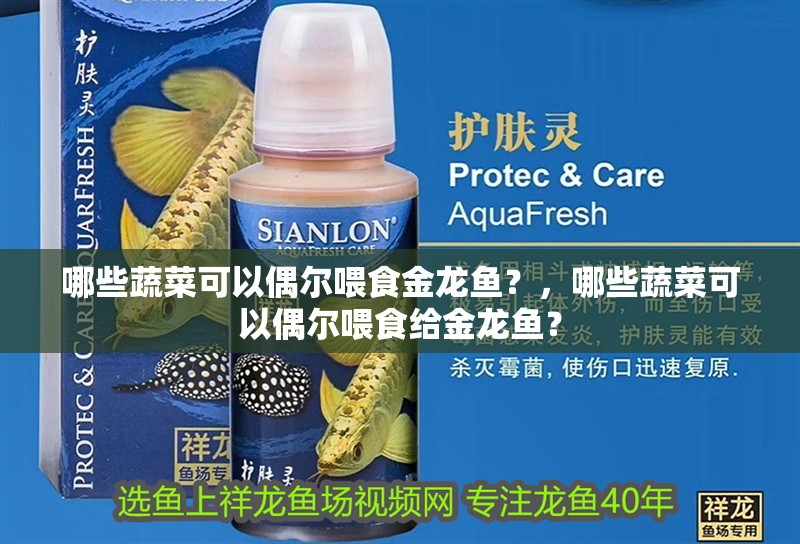 哪些蔬菜可以偶爾喂食金龍魚？，哪些蔬菜可以偶爾喂食給金龍魚？