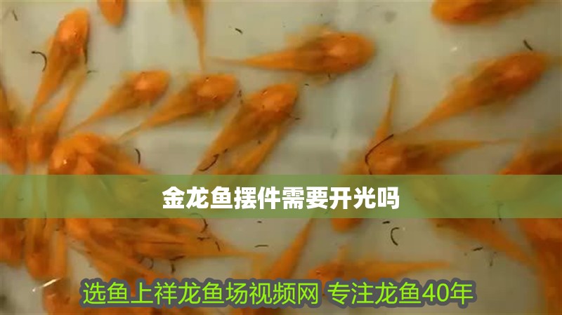 金龍魚擺件需要開光嗎