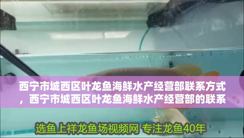 西寧市城西區(qū)葉龍魚海鮮水產(chǎn)經(jīng)營(yíng)部聯(lián)系方式，西寧市城西區(qū)葉龍魚海鮮水產(chǎn)經(jīng)營(yíng)部的聯(lián)系方式