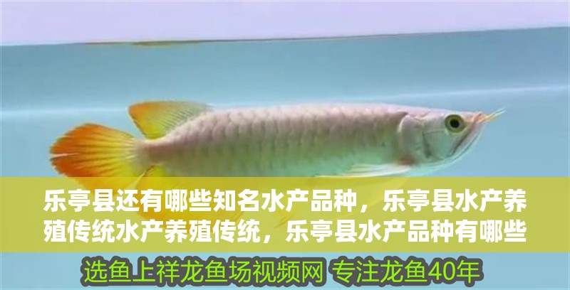 樂亭縣還有哪些知名水產(chǎn)品種，樂亭縣水產(chǎn)養(yǎng)殖傳統(tǒng)水產(chǎn)養(yǎng)殖傳統(tǒng)，樂亭縣水產(chǎn)品種有哪些