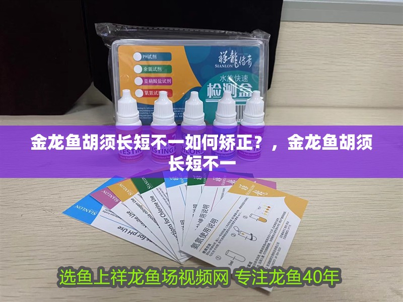 金龍魚胡須長短不一如何矯正？，金龍魚胡須長短不一
