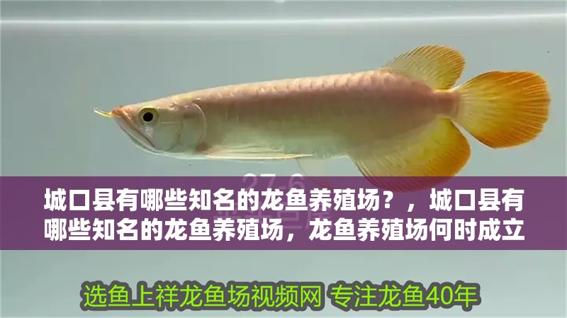 城口縣有哪些知名的龍魚養(yǎng)殖場？，城口縣有哪些知名的龍魚養(yǎng)殖場，龍魚養(yǎng)殖場何時成立
