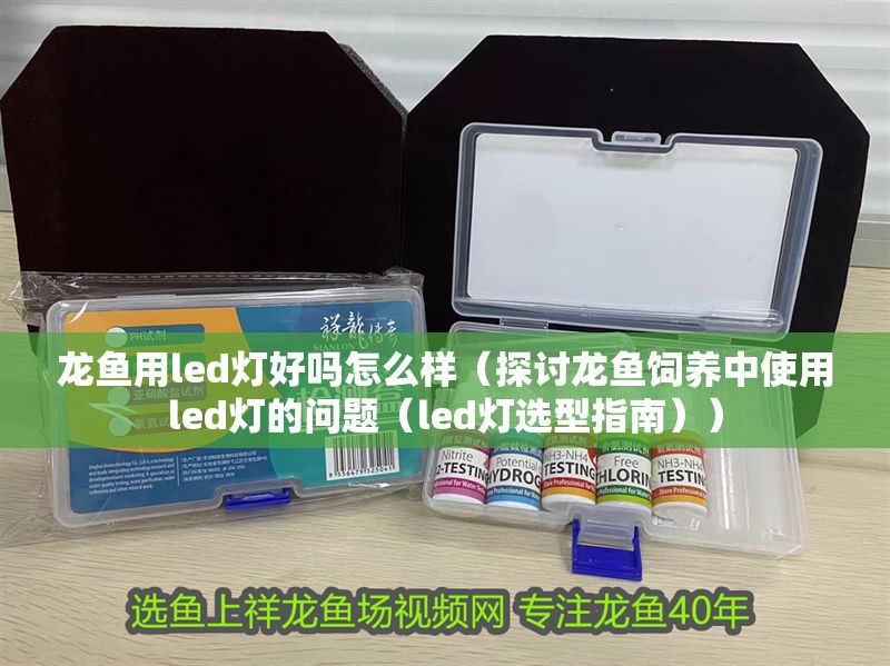 龍魚用led燈好嗎怎么樣（探討龍魚飼養中使用led燈的問題（led燈選型指南））
