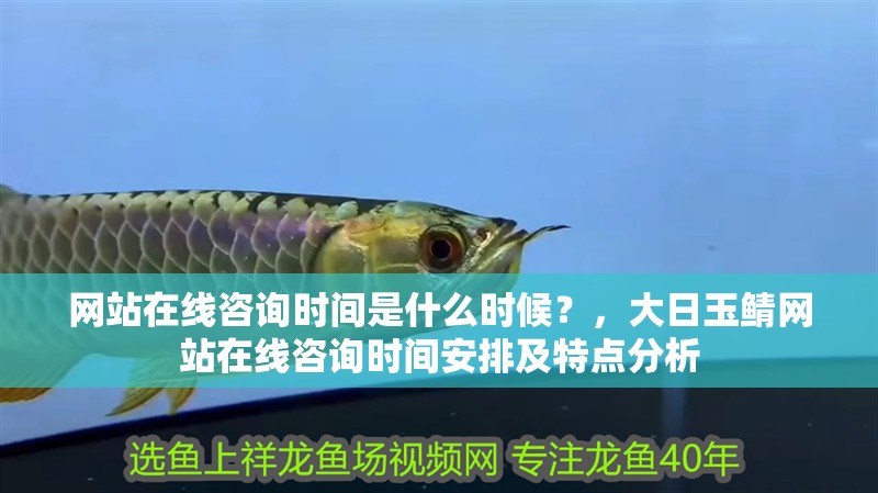 網站在線咨詢時間是什么時候？，大日玉鯖網站在線咨詢時間安排及特點分析