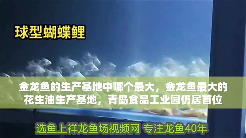 金龍魚的生產(chǎn)基地中哪個最大，金龍魚最大的花生油生產(chǎn)基地，青島食品工業(yè)園仍居首位