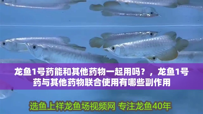 龍魚1號藥能和其他藥物一起用嗎？，龍魚1號藥與其他藥物聯合使用有哪些副作用