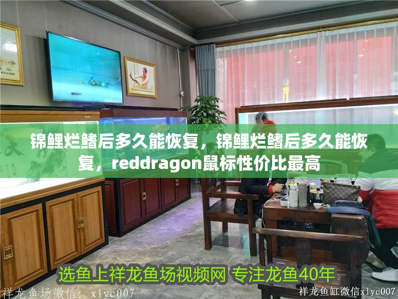 錦鯉爛鰭后多久能恢復，錦鯉爛鰭后多久能恢復，reddragon鼠標性價比最高