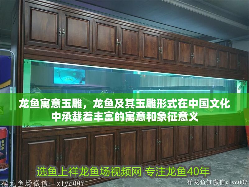 龍魚寓意玉雕，龍魚及其玉雕形式在中國(guó)文化中承載著豐富的寓意和象征意義