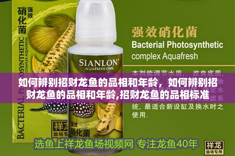如何辨別招財龍魚的品相和年齡，如何辨別招財龍魚的品相和年齡,招財龍魚的品相標準