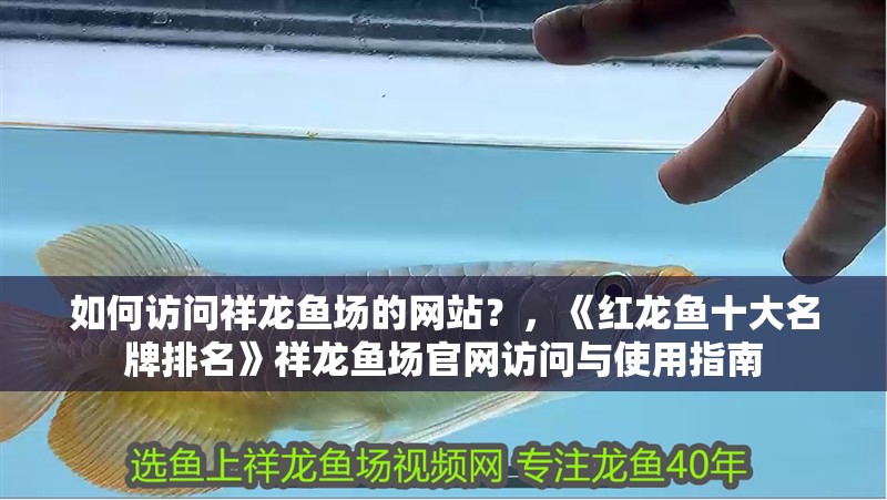 如何訪問祥龍魚場的網站？，《紅龍魚十大名牌排名》祥龍魚場官網訪問與使用指南