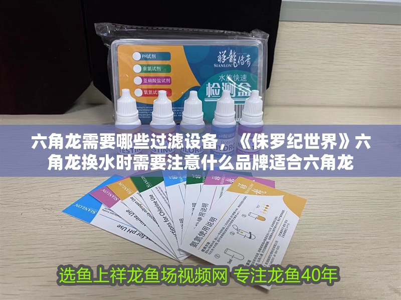 六角龍需要哪些過濾設備，《侏羅紀世界》六角龍換水時需要注意什么品牌適合六角龍