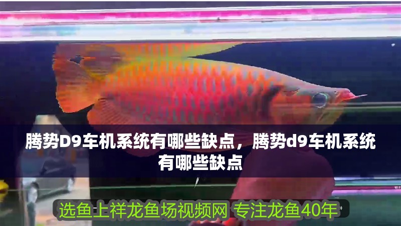 騰勢D9車機系統有哪些缺點，騰勢d9車機系統有哪些缺點