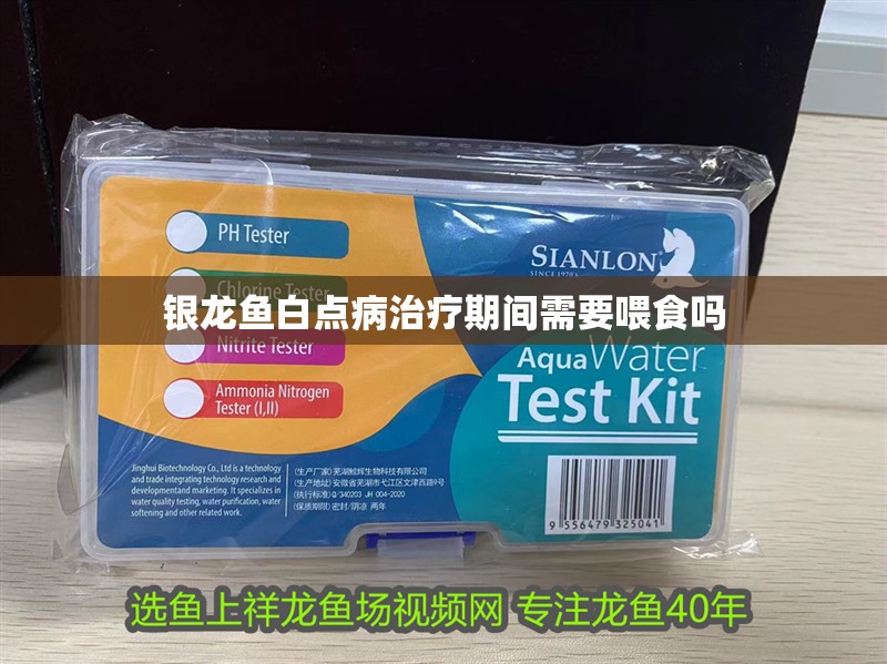 銀龍魚白點病治療期間需要喂食嗎