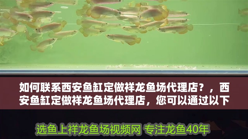 如何聯系西安魚缸定做祥龍魚場代理店？，西安魚缸定做祥龍魚場代理店，您可以通過以下幾種方式聯系