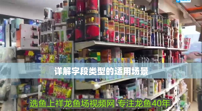 詳解字段類型的適用場景
