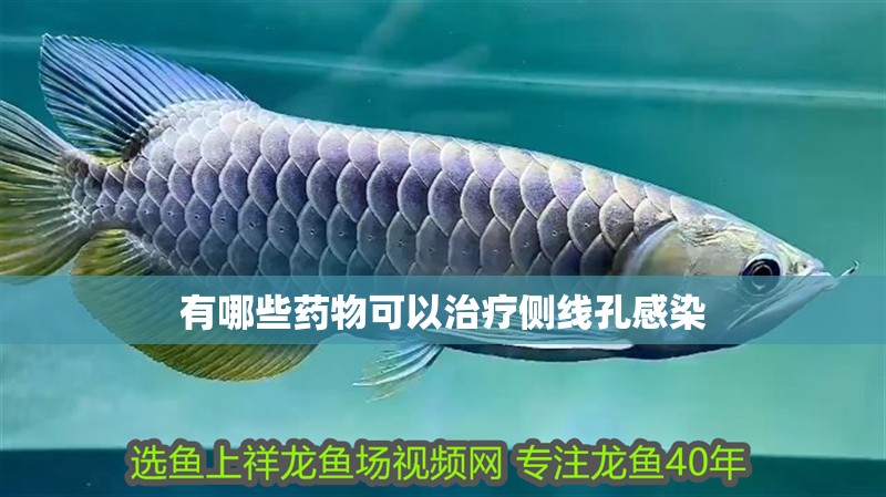 有哪些藥物可以治療側線孔感染
