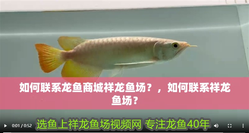 如何聯系龍魚商城祥龍魚場？，如何聯系祥龍魚場？