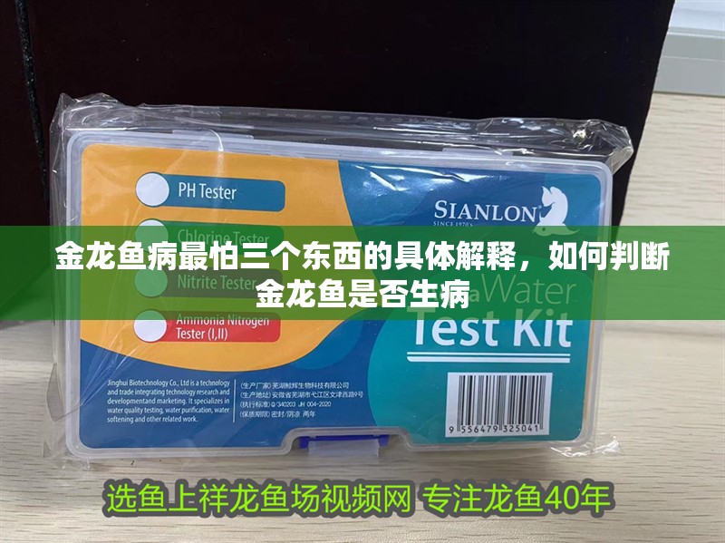 金龍魚病最怕三個東西的具體解釋，如何判斷金龍魚是否生病