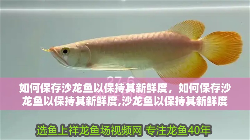 如何保存沙龍魚以保持其新鮮度，如何保存沙龍魚以保持其新鮮度,沙龍魚以保持其新鮮度