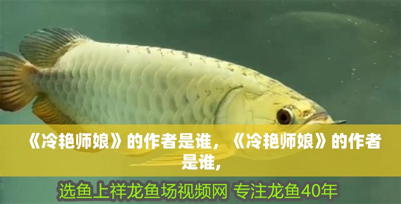 《冷艷師娘》的作者是誰，《冷艷師娘》的作者是誰,