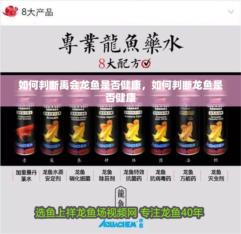 如何判斷禹會龍魚是否健康，如何判斷龍魚是否健康