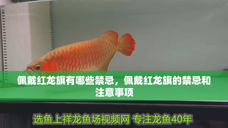 佩戴紅龍旗有哪些禁忌，佩戴紅龍旗的禁忌和注意事項