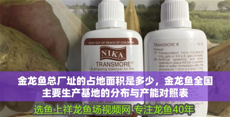 金龍魚總廠址的占地面積是多少，金龍魚全國主要生產基地的分布與產能對照表