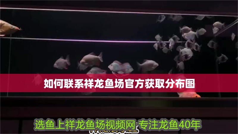 如何聯系祥龍魚場官方獲取分布圖
