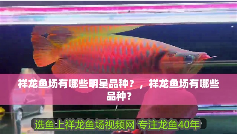 祥龍魚場有哪些明星品種？，祥龍魚場有哪些品種？