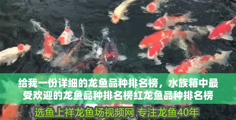 給我一份詳細的龍魚品種排名榜，水族箱中最受歡迎的龍魚品種排名榜紅龍魚品種排名榜