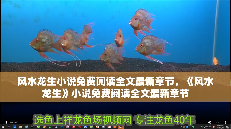 風(fēng)水龍生小說免費閱讀全文最新章節(jié)，《風(fēng)水龍生》小說免費閱讀全文最新章節(jié)