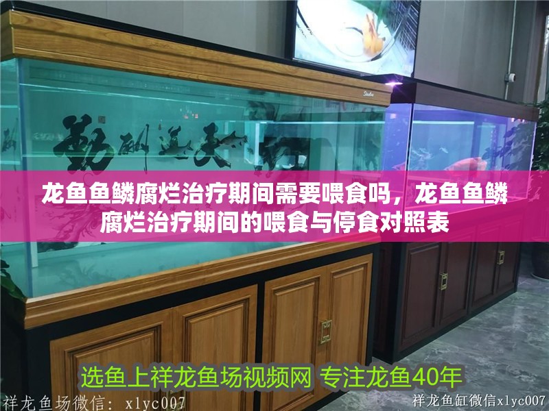 龍魚魚鱗腐爛治療期間需要喂食嗎，龍魚魚鱗腐爛治療期間的喂食與停食對照表