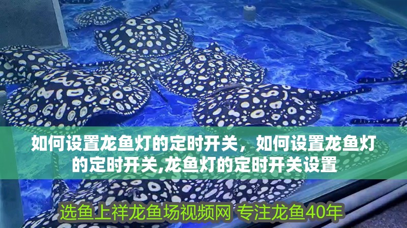 如何設置龍魚燈的定時開關，如何設置龍魚燈的定時開關,龍魚燈的定時開關設置
