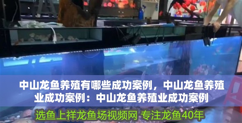 中山龍魚養殖有哪些成功案例，中山龍魚養殖業成功案例：中山龍魚養殖業成功案例