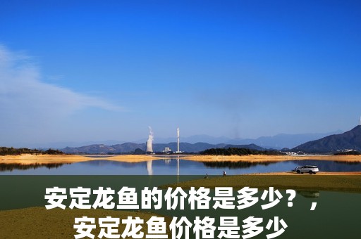 安定龍魚的價格是多少？，安定龍魚價格是多少