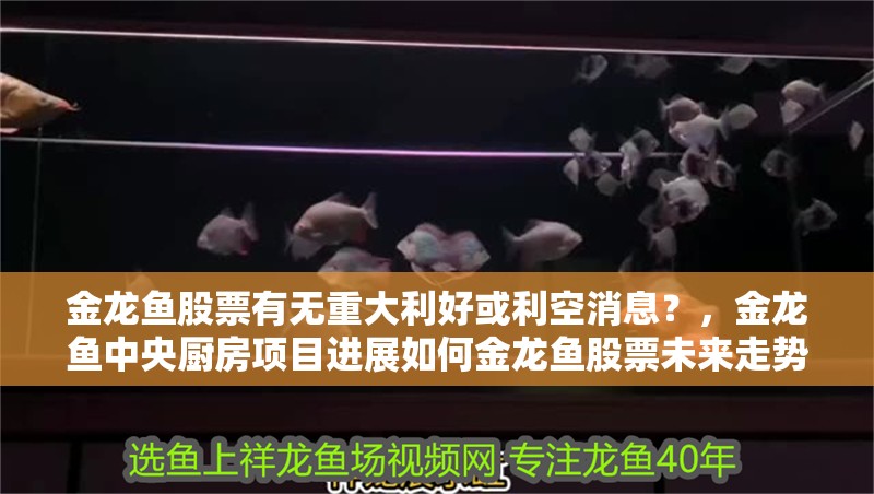 金龍魚股票有無重大利好或利空消息？，金龍魚中央廚房項(xiàng)目進(jìn)展如何金龍魚股票未來走勢(shì)如何